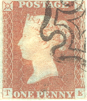 Plate 23 T-E