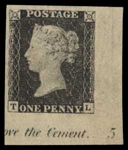 Plate 5 T-L