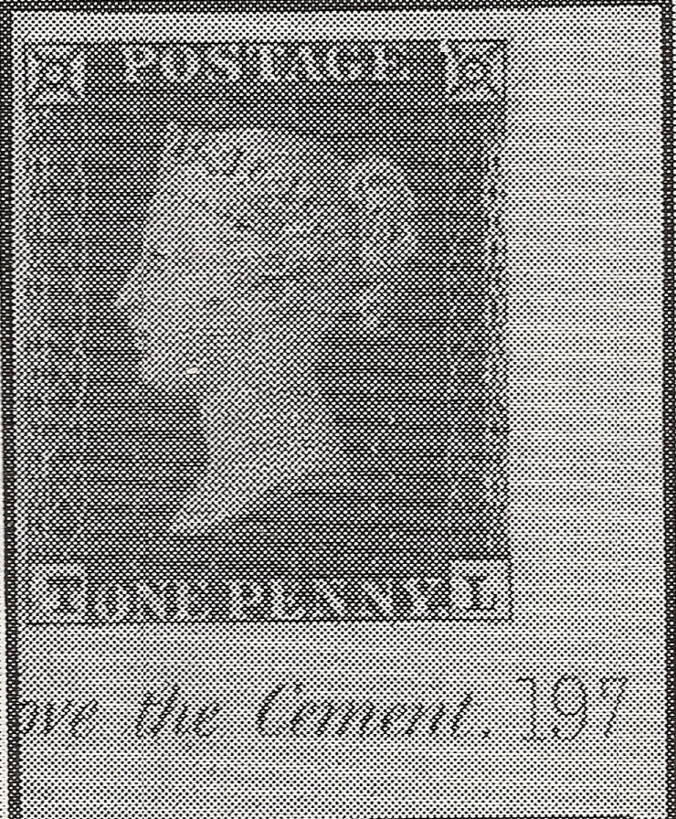 Plate 197 T-L