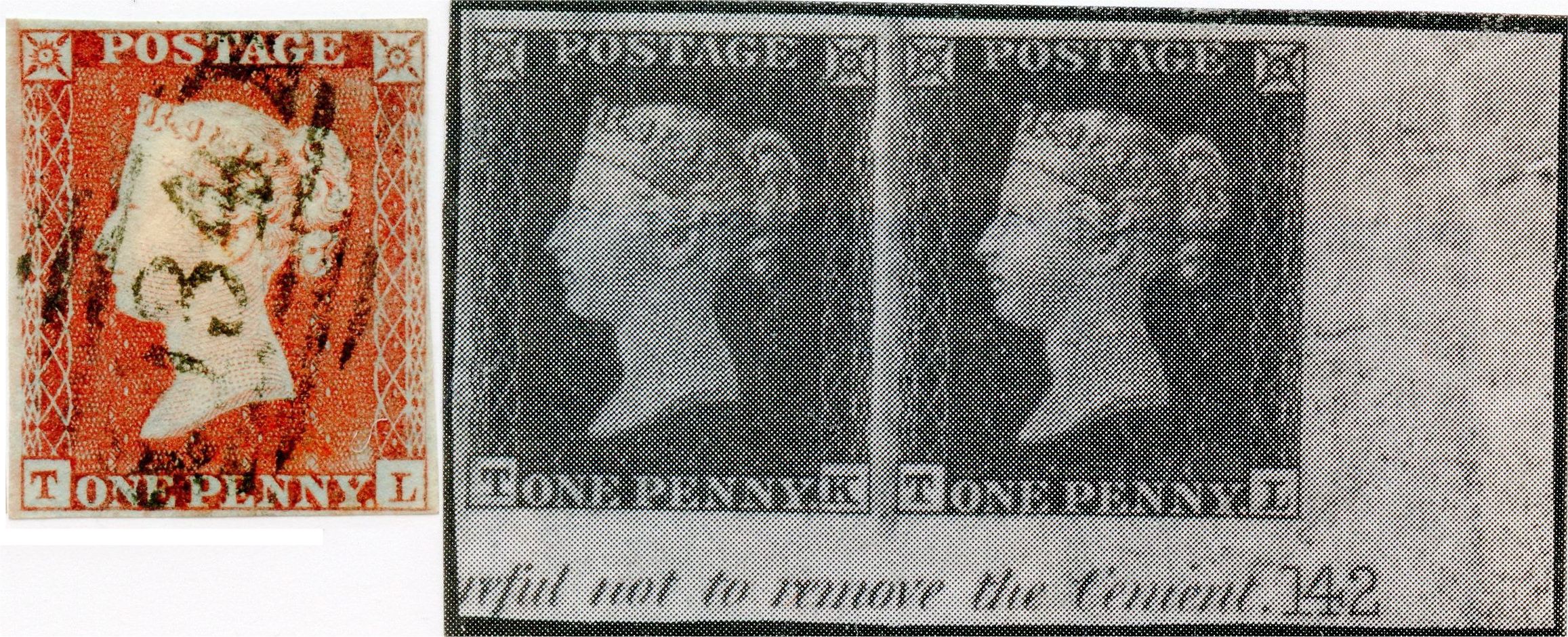 Plate 142 T-L