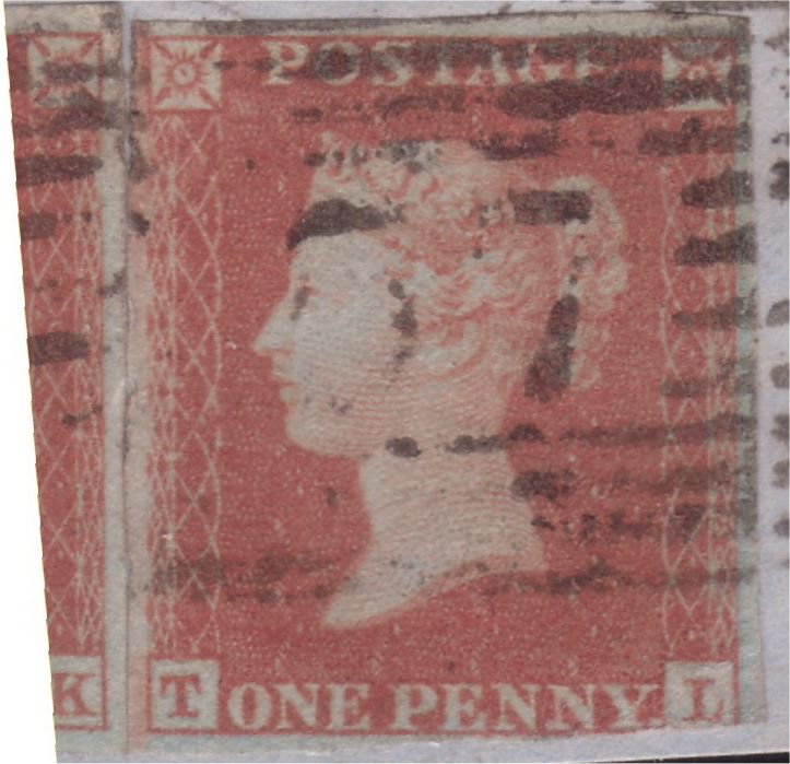 Plate 142 T-L