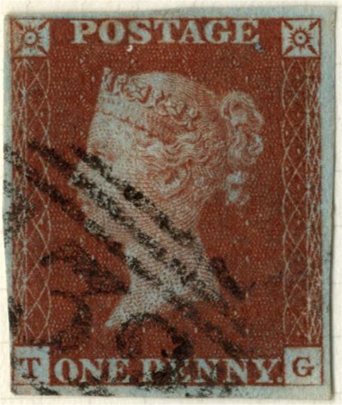Plate 50 T-G