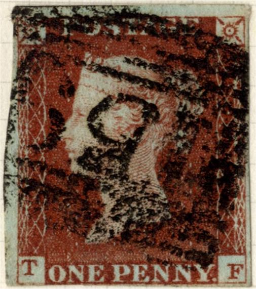 Plate 55 T-F