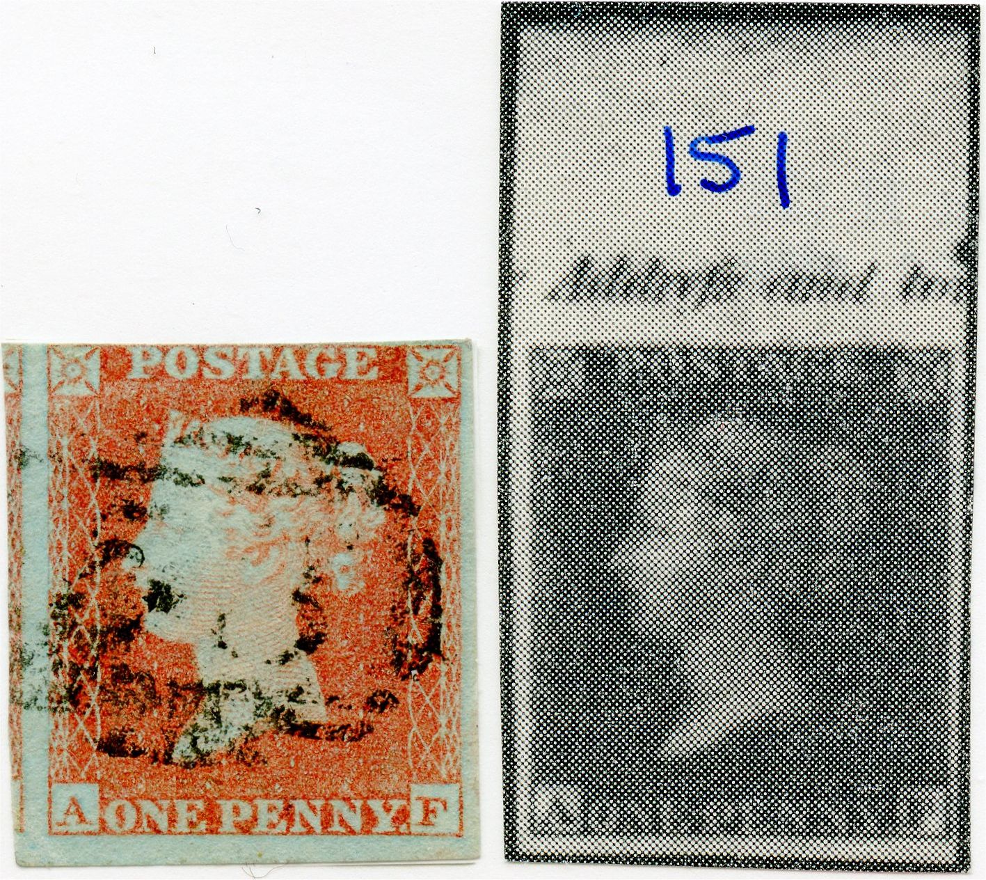 Plate 151 A-F