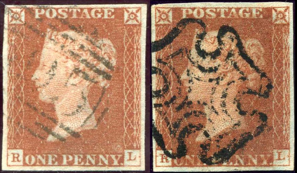 Plate 34 R-L
