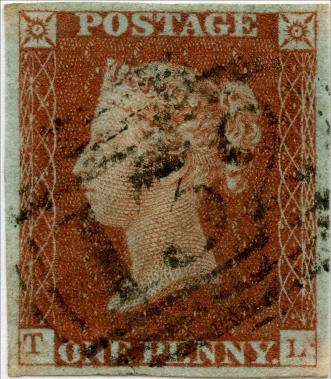 Plate 41 T-L