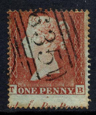 Plate 171 T-B