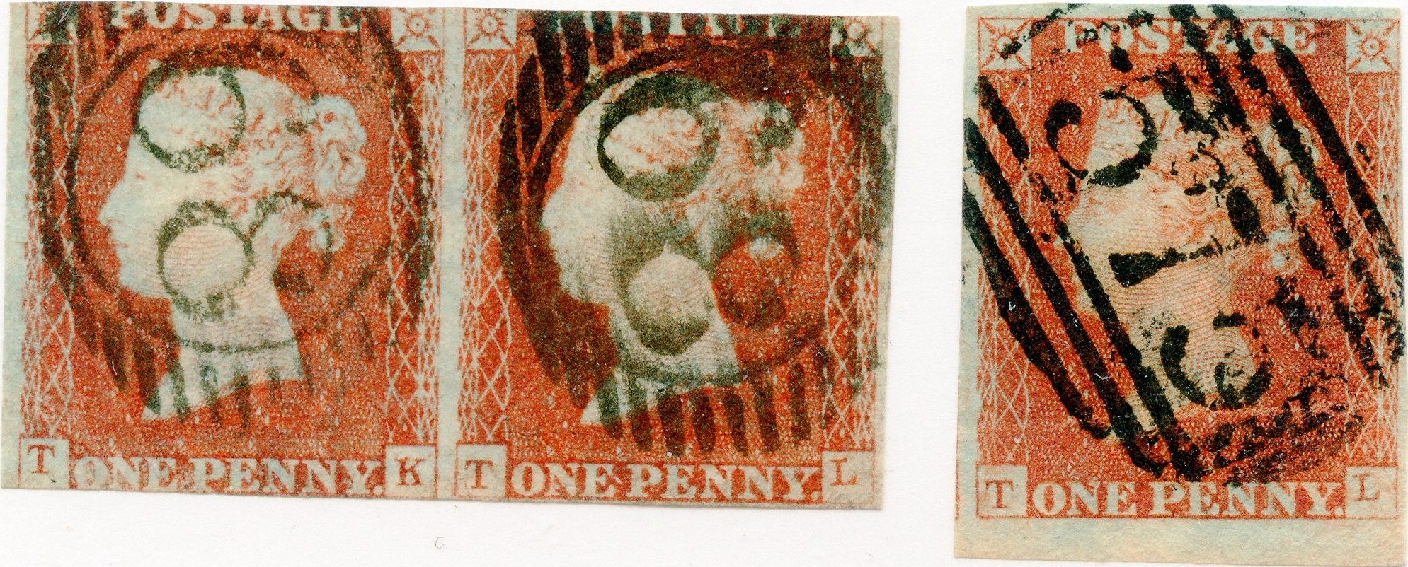 Plate 44 T-L