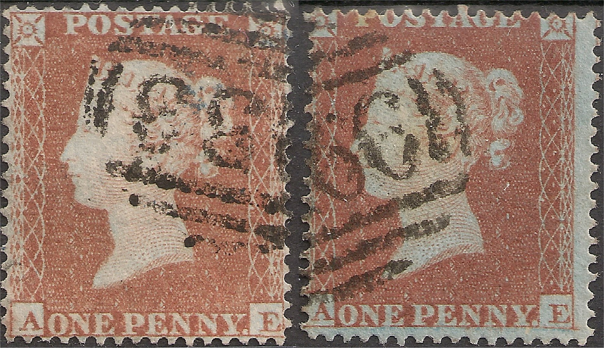 Plate 183 A-E