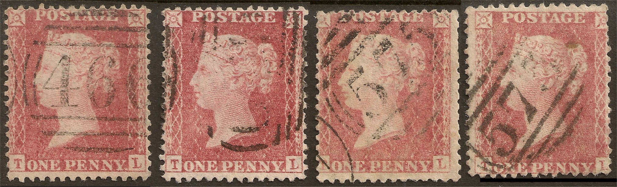 Plate 57 T-L