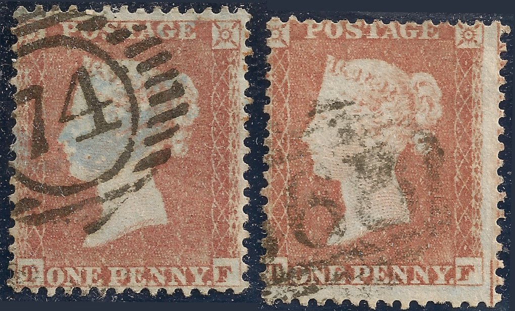 Plate 196 T-F