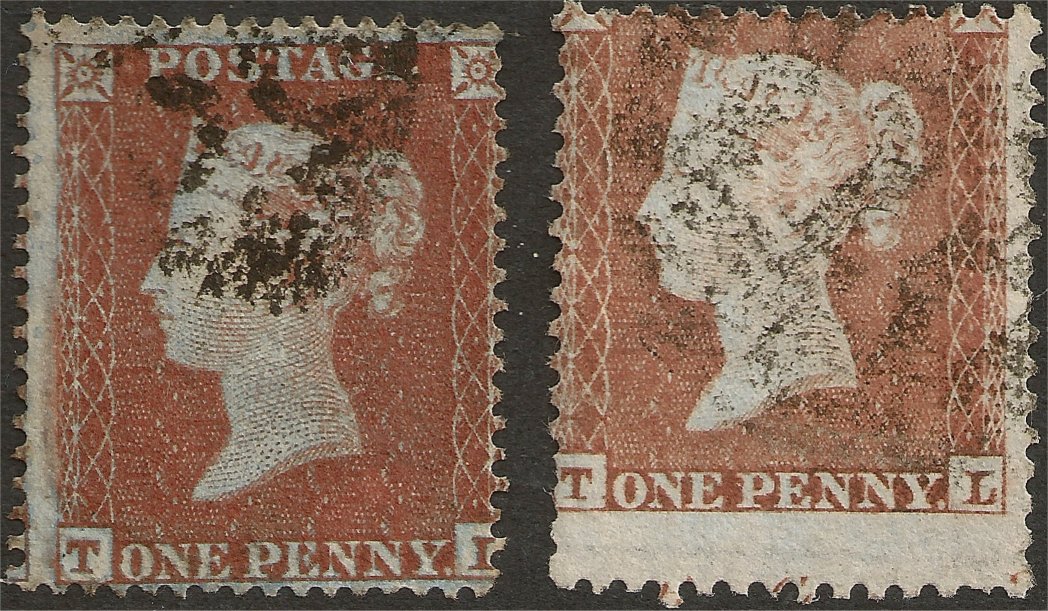 Plate 201 T-L