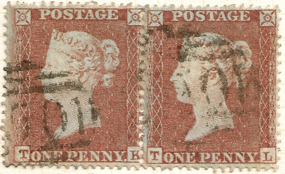 Plate 200 T-L