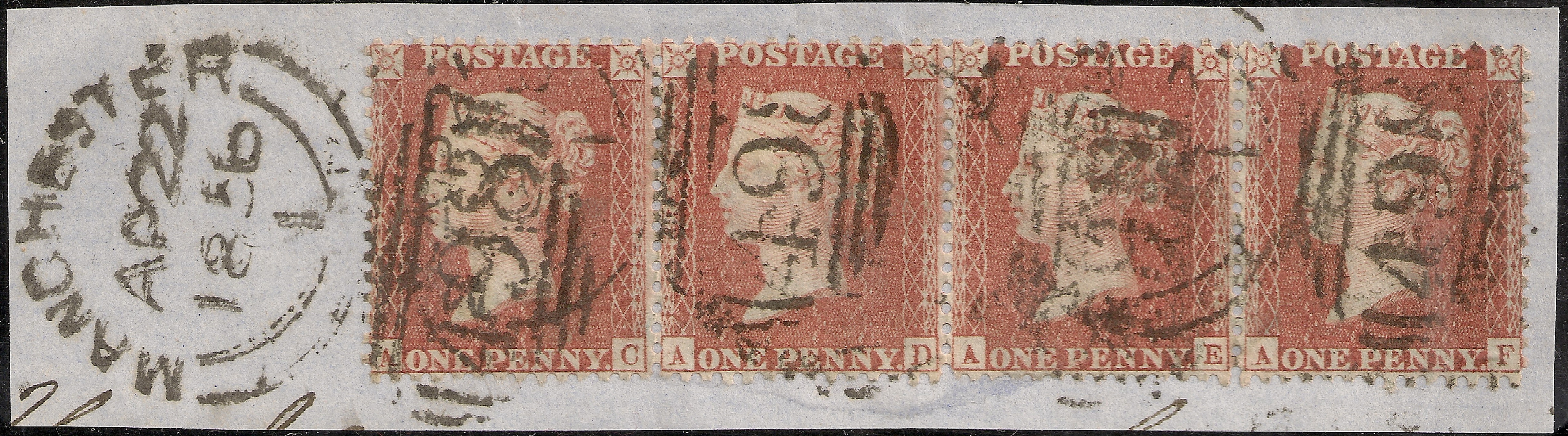 Plate 25 A-C, A-D, A-E, A-F