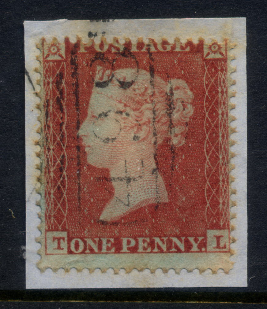 Plate 173 T-L