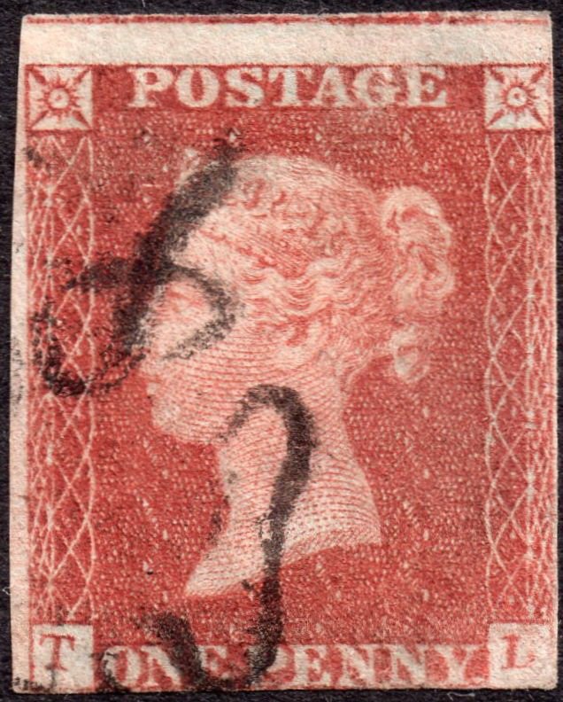 Plate 34 T-L