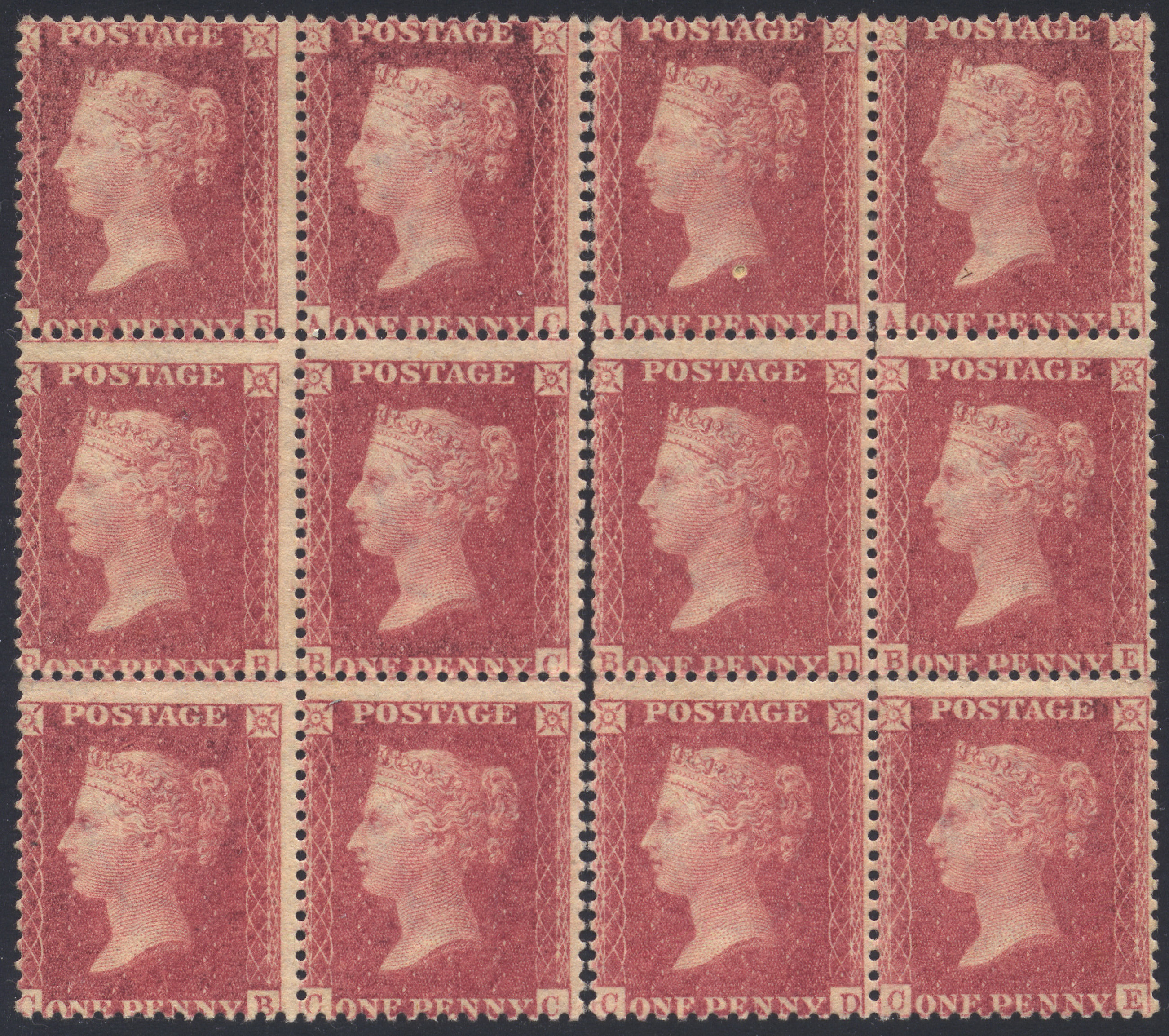 Plate 41 A-B, A-C, A-D, A-E