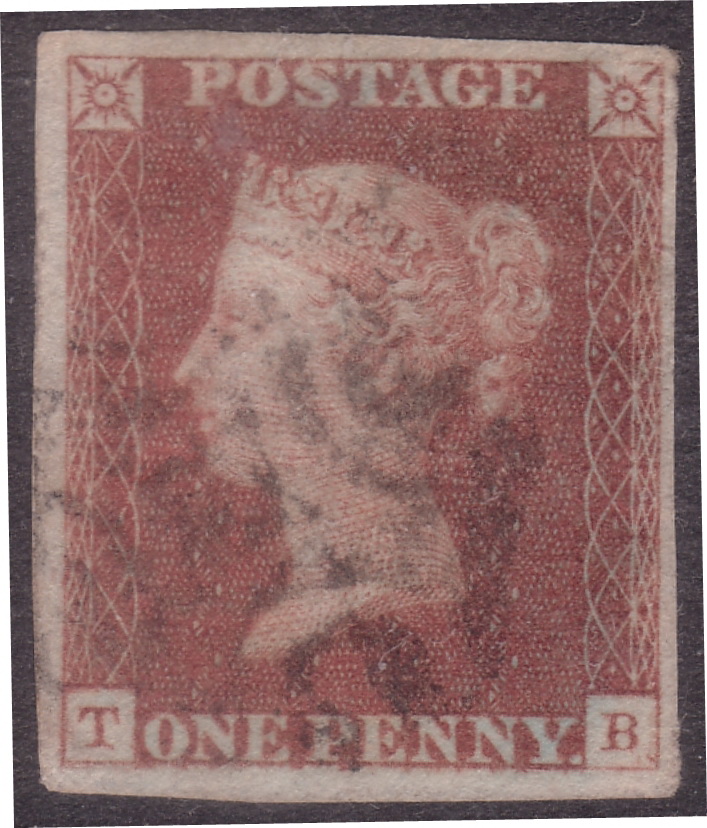Plate 14 T-B