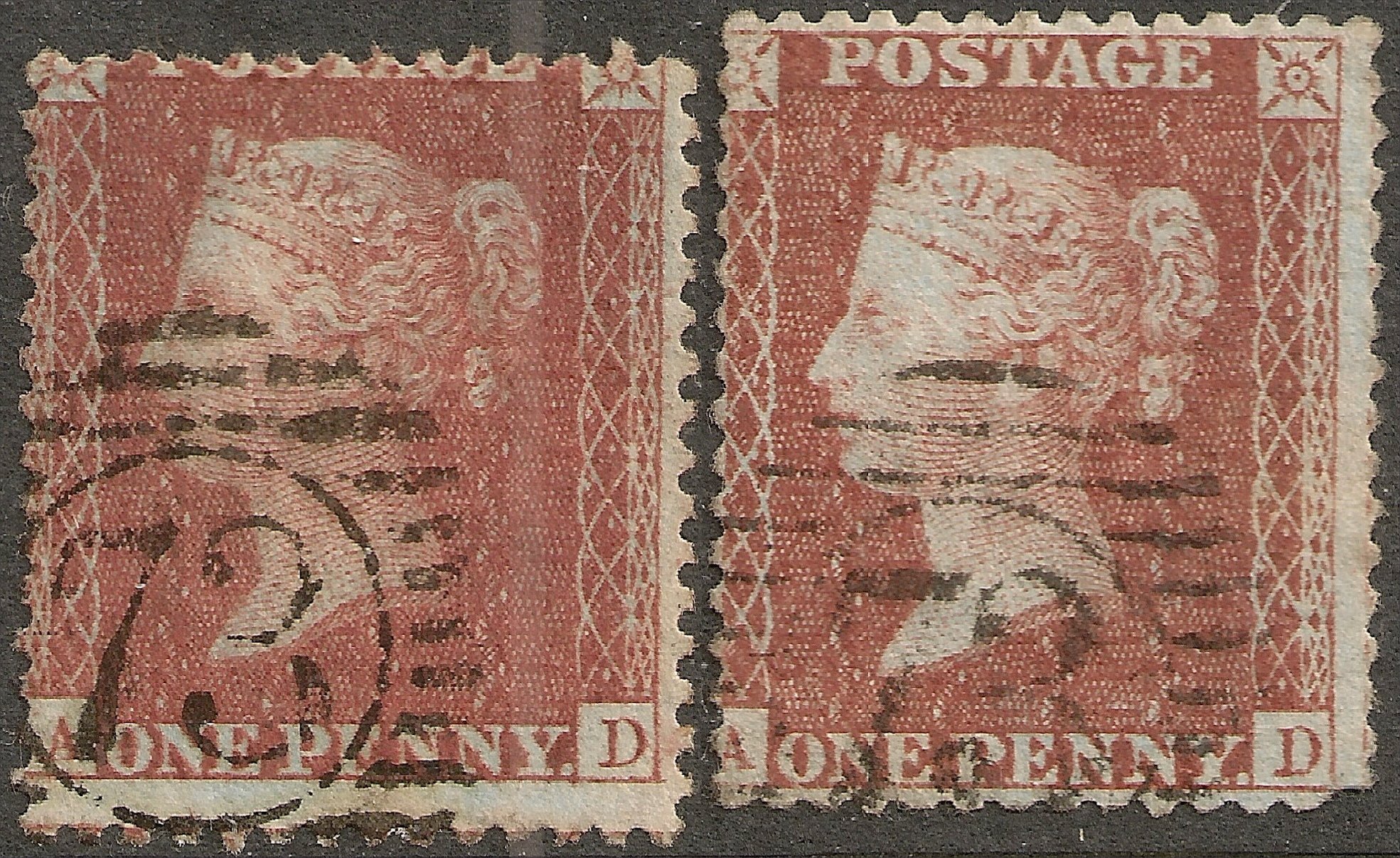 Plate 28 A-D