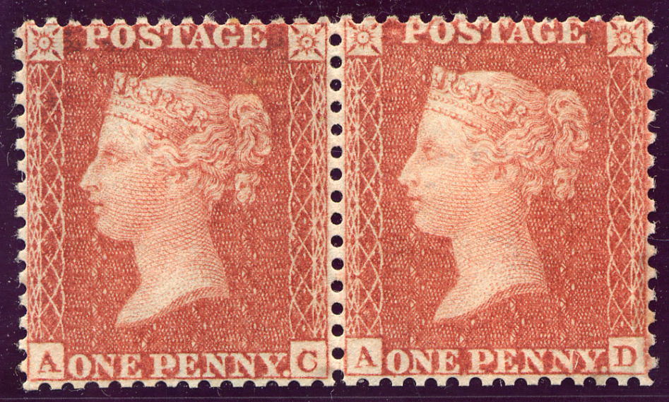 Plate 8 A-C, A-D