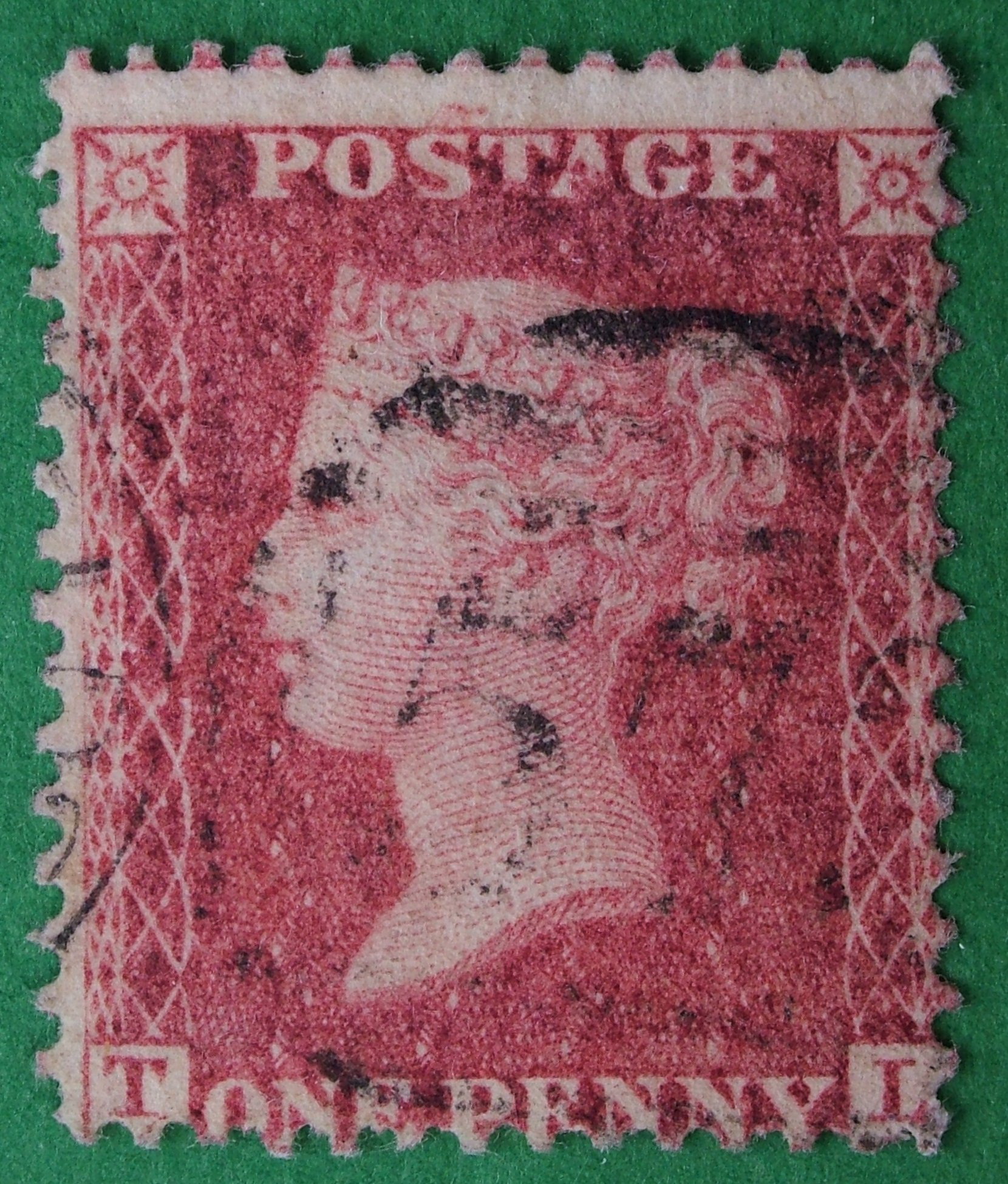 Plate 50 T-L