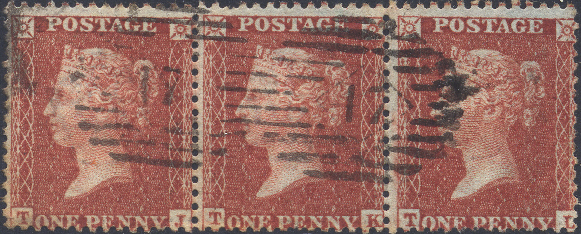 Plate 11 T-L