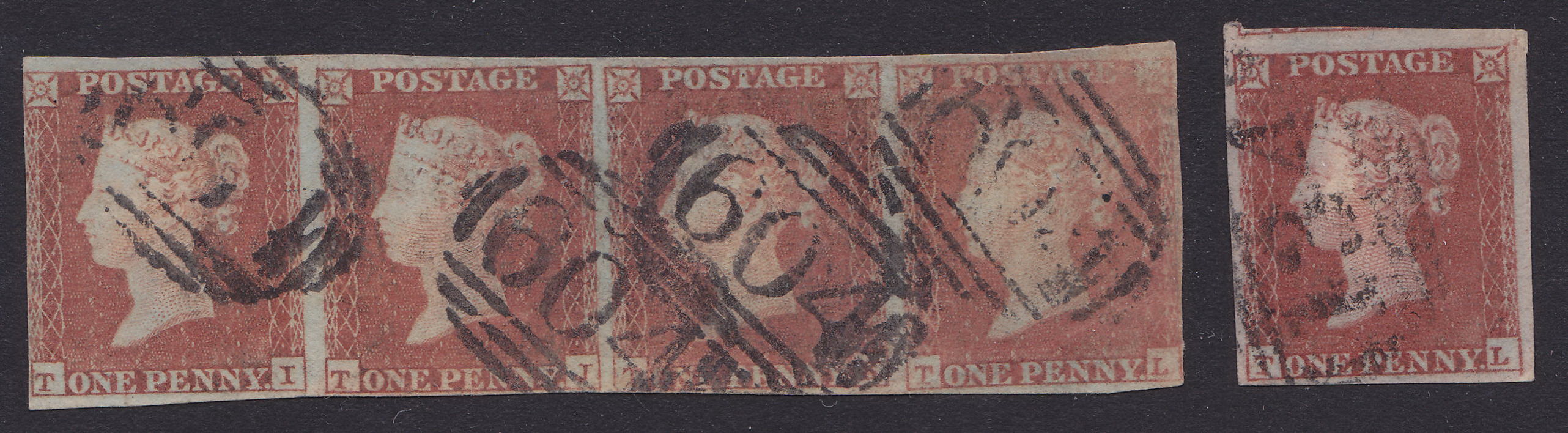 Plate 126 T-L