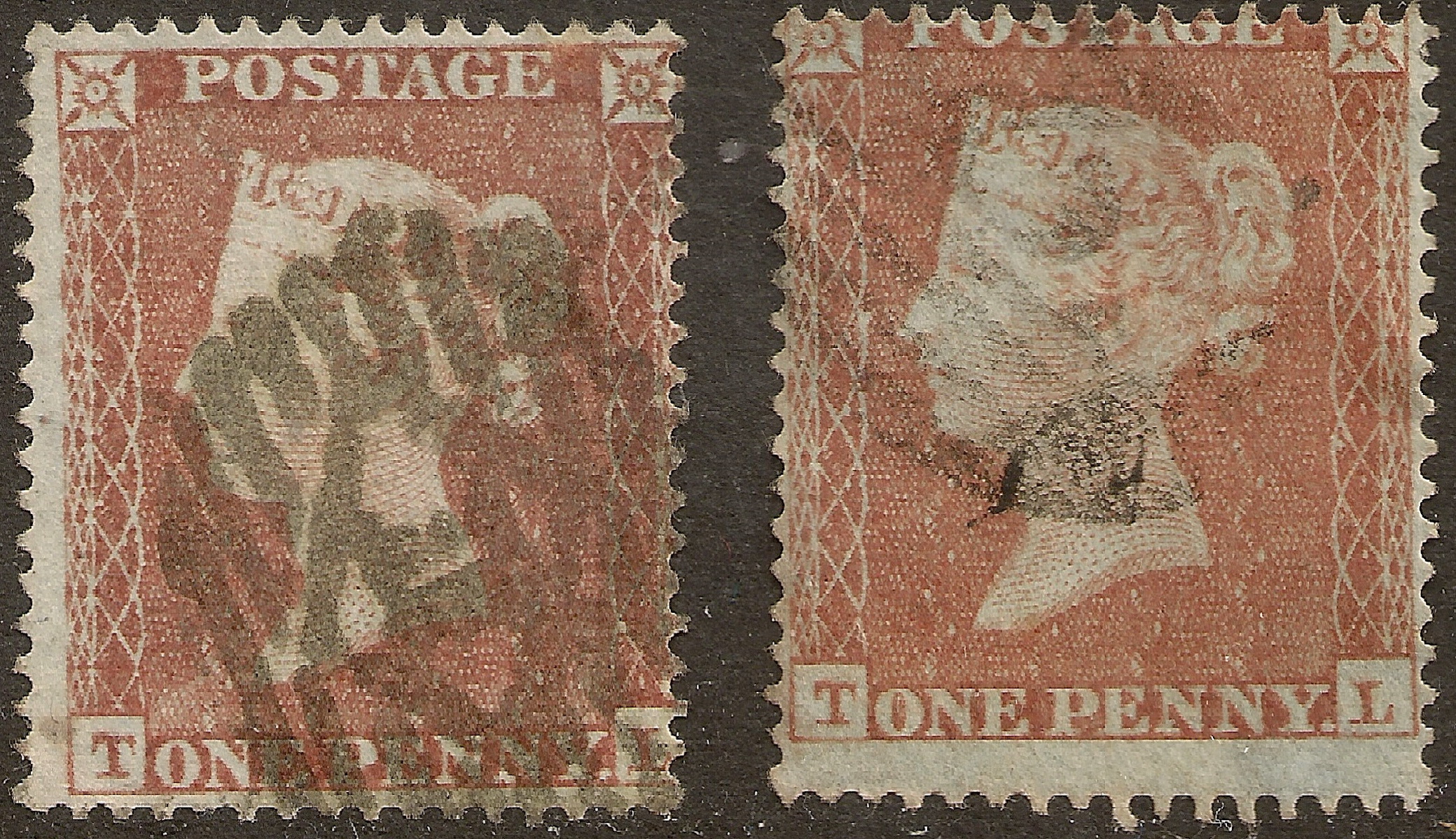 Plate 174 T-L