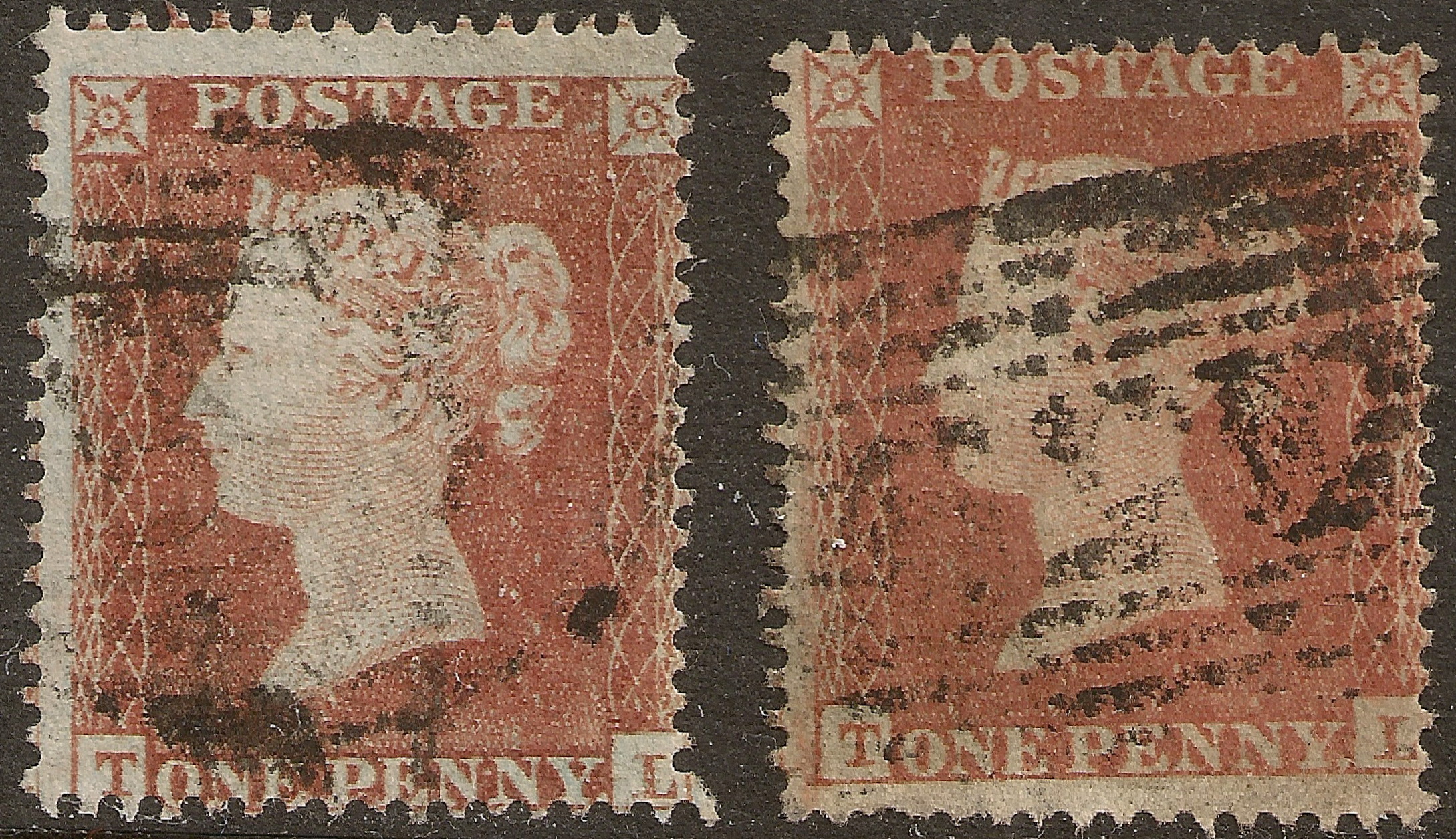 Plate 176 T-L