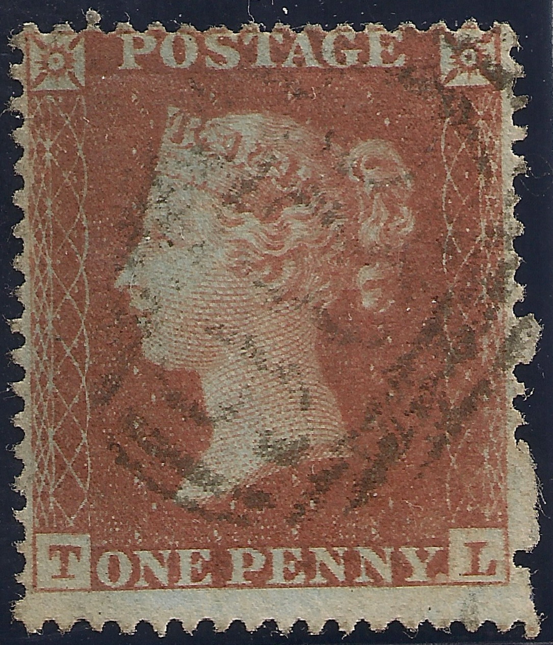 Plate 178 T-L