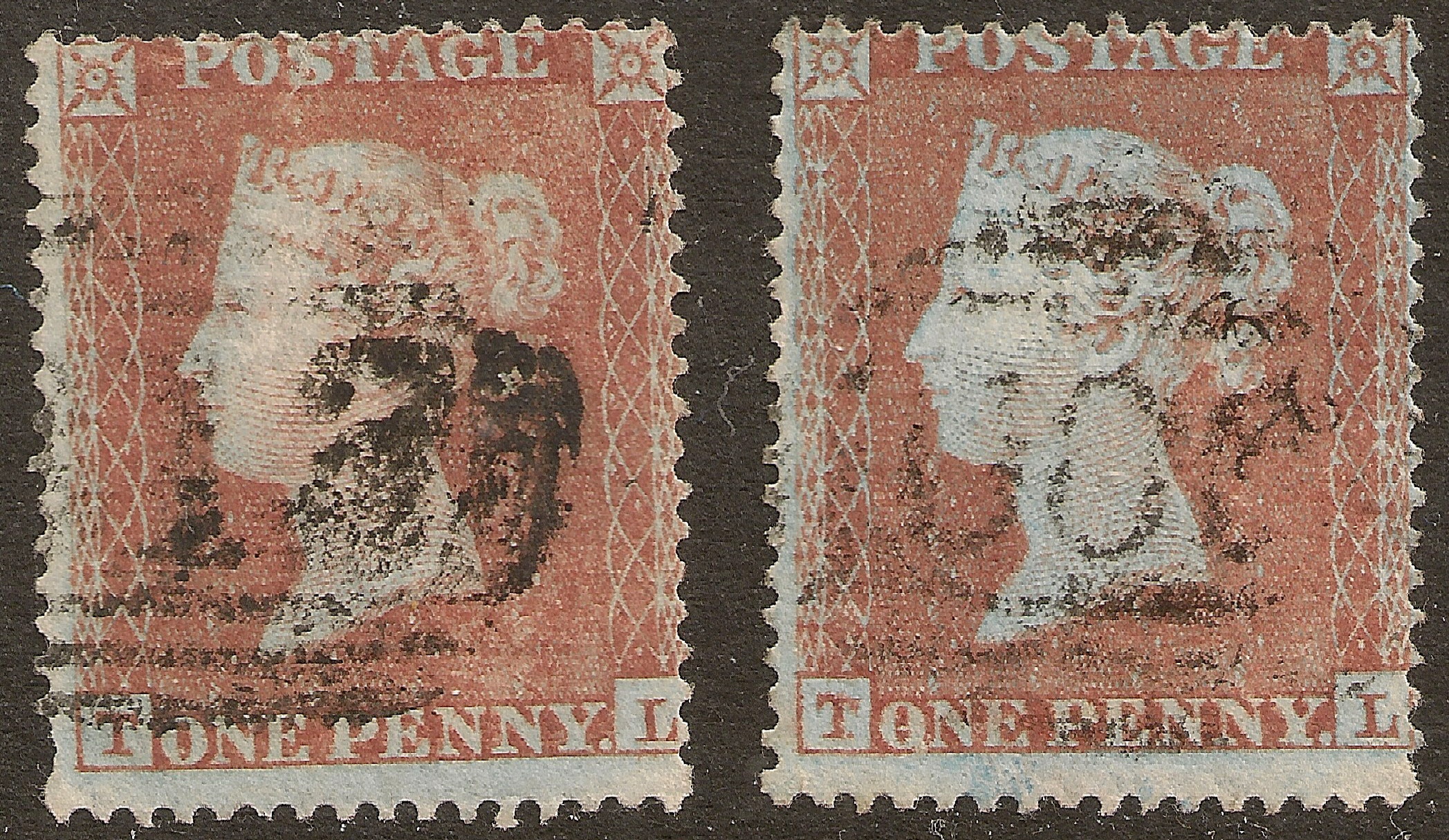 Plate 181 T-L