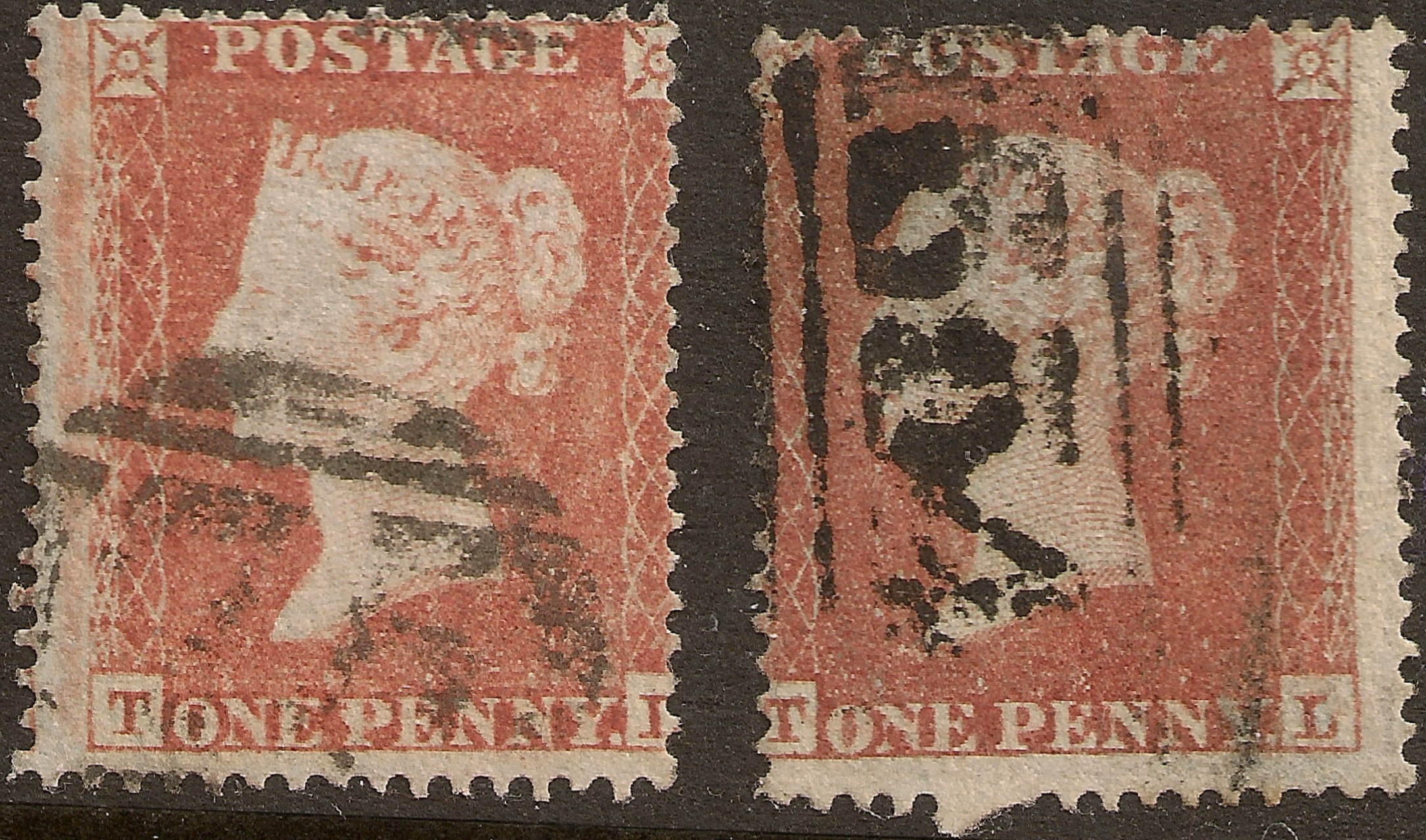 Plate 203 T-L