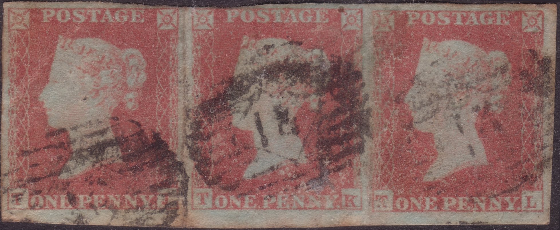 Plate 145 T-L