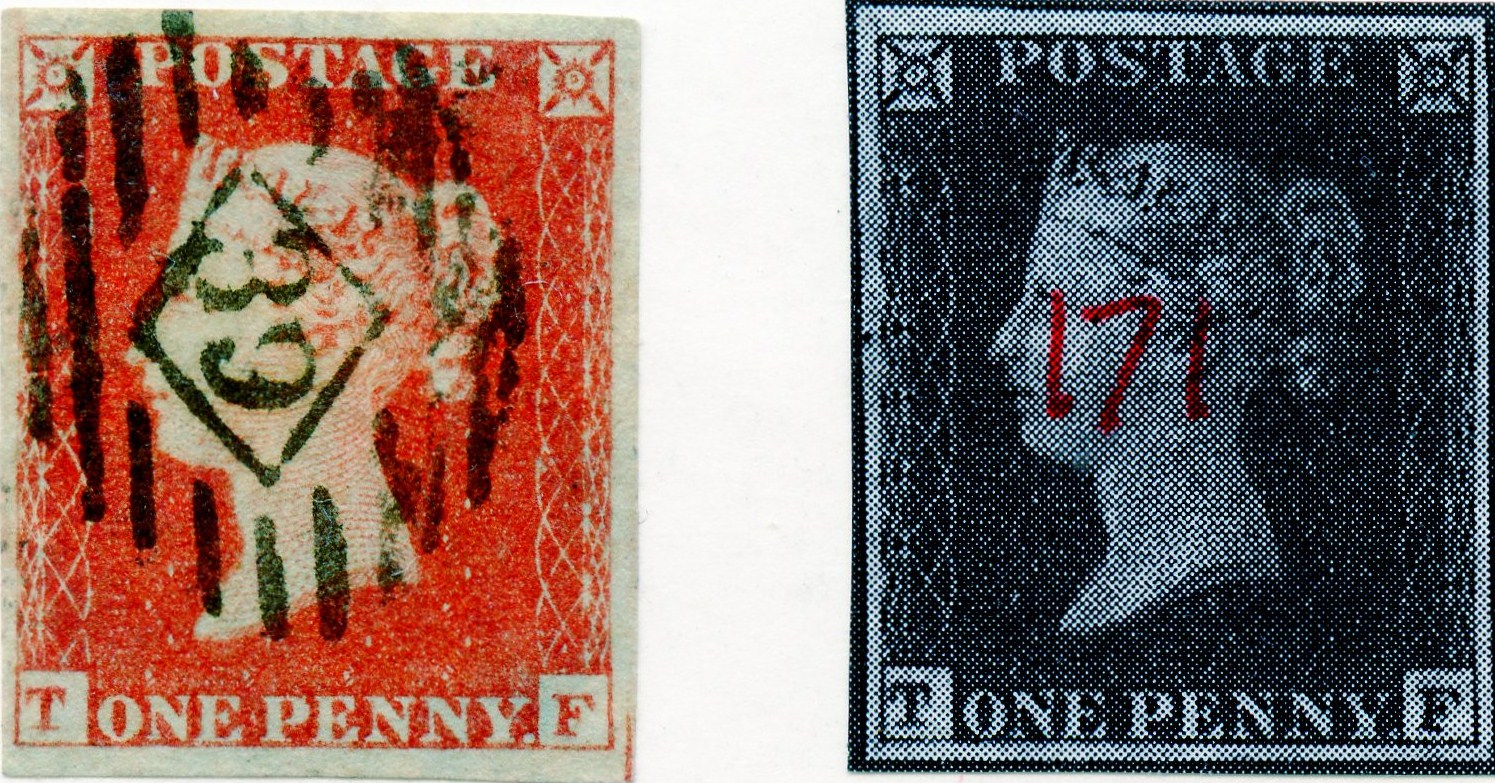 Plate 171 T-F