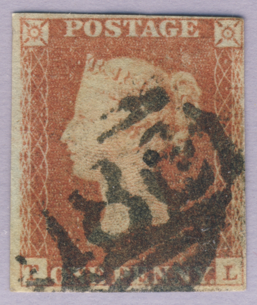 Plate 91 T-L