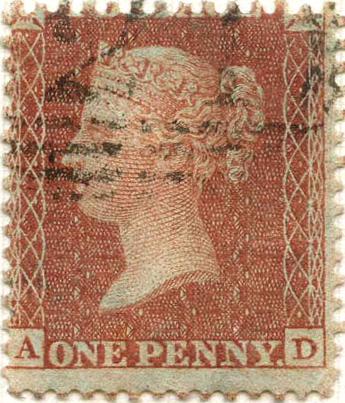 Plate 13 A-D