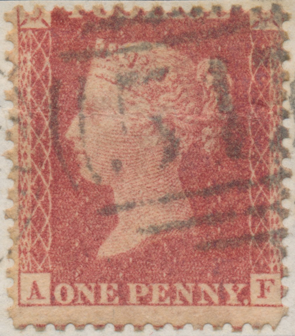 Plate 41 A-F