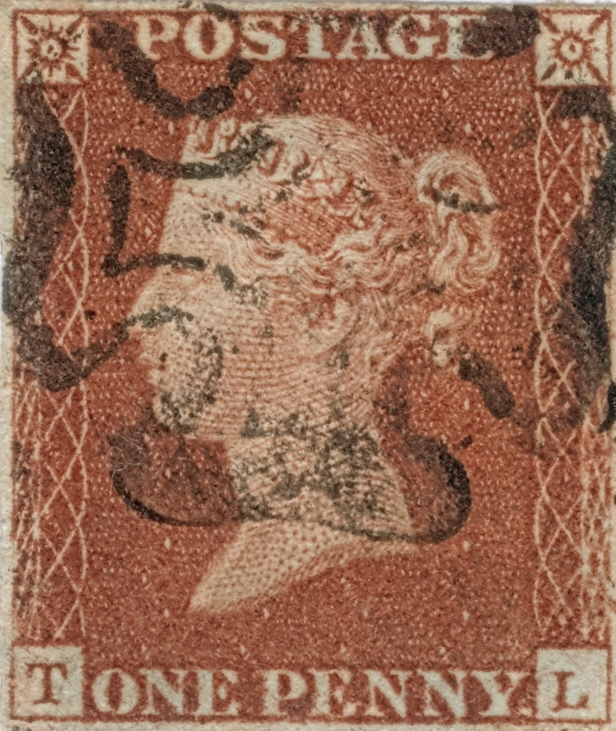 Plate 19 T-L