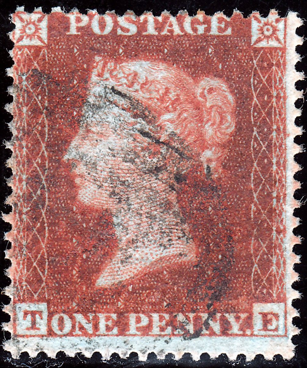 Plate 195 T-E