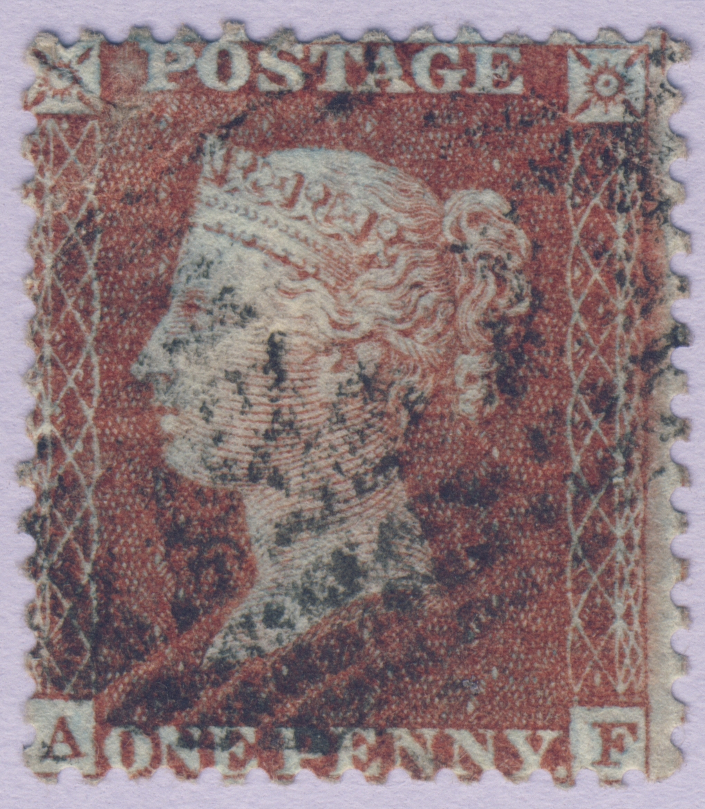 Plate 20 A-F