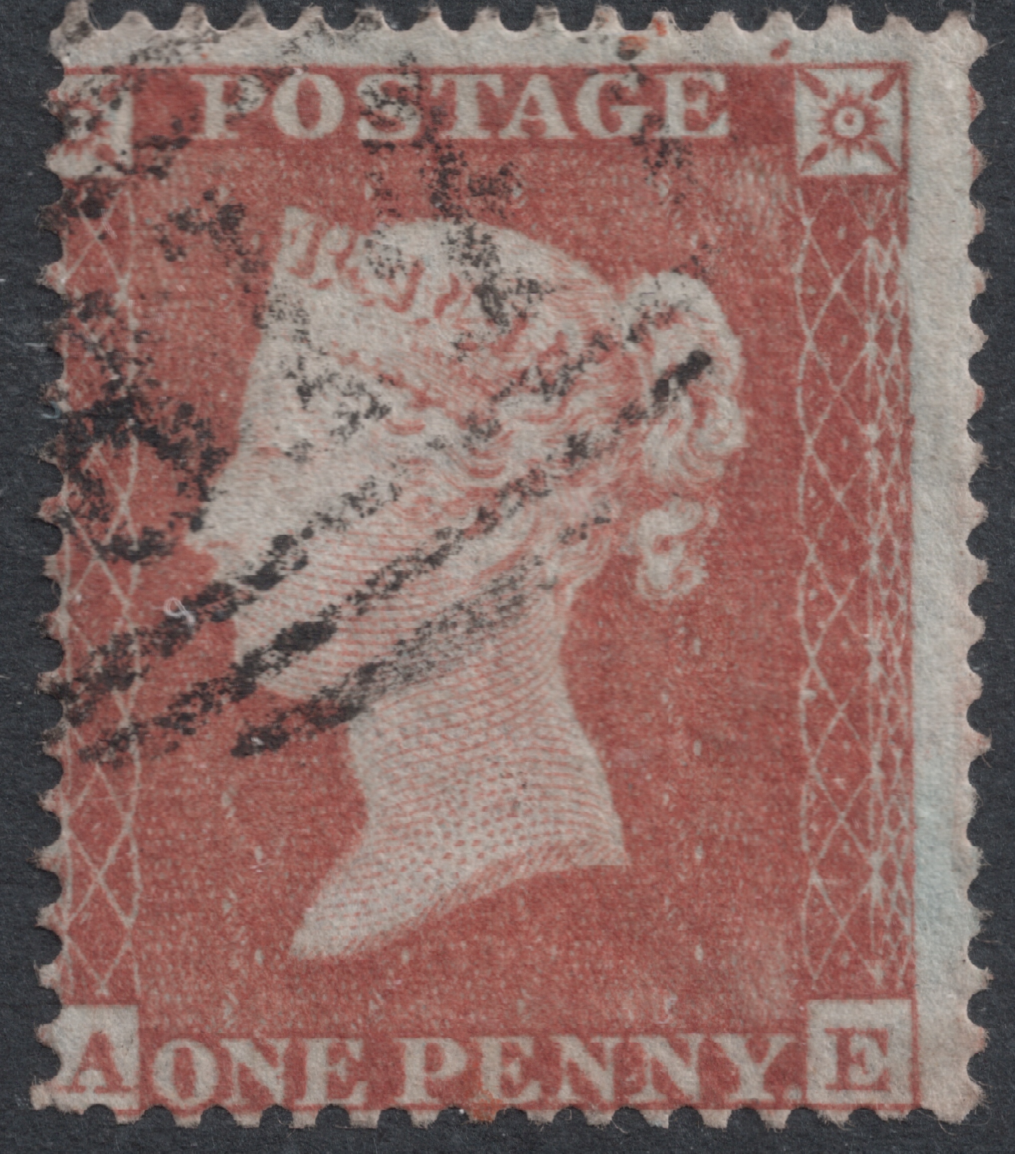 Plate 174 A-E