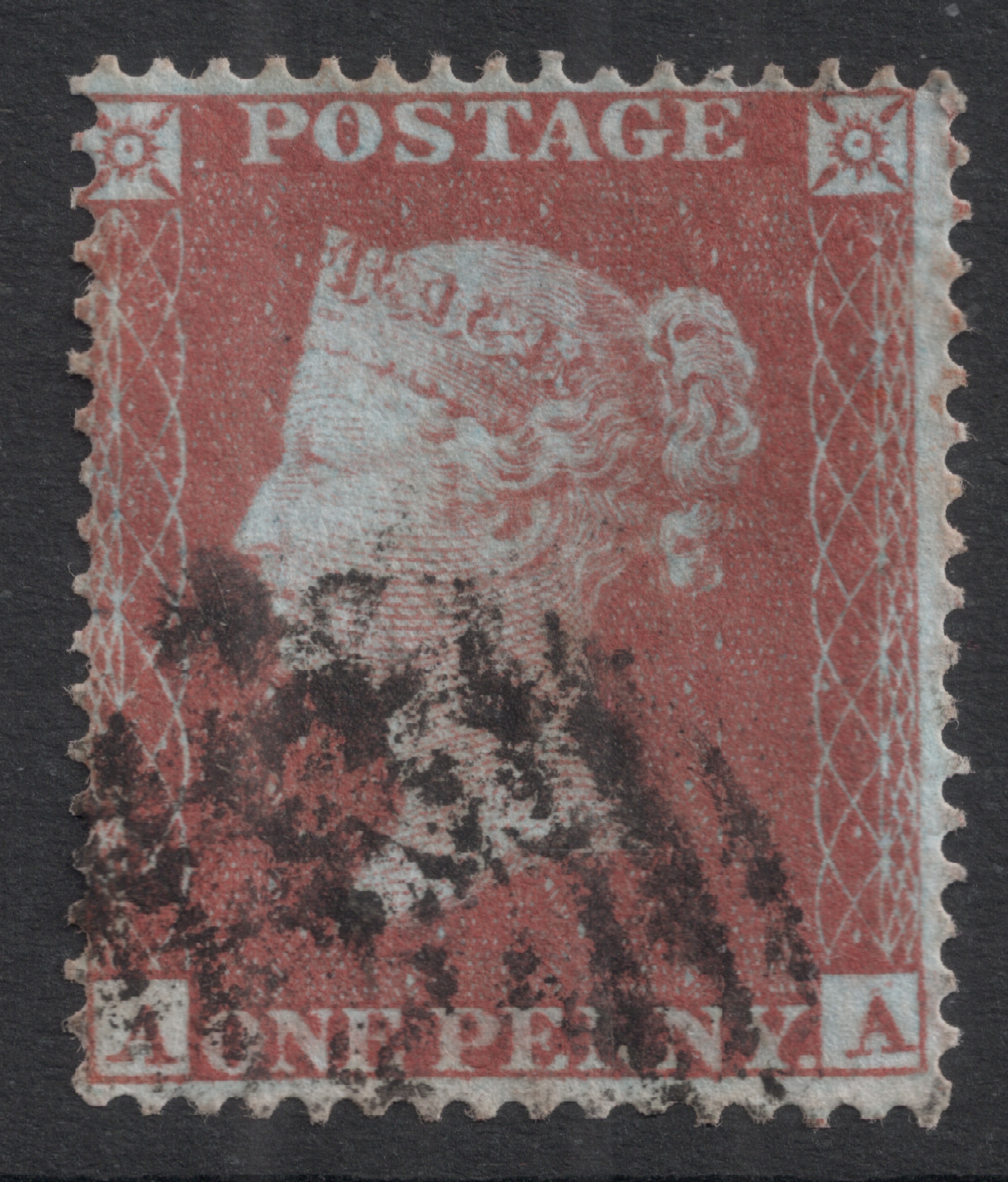 Plate 175 A-A