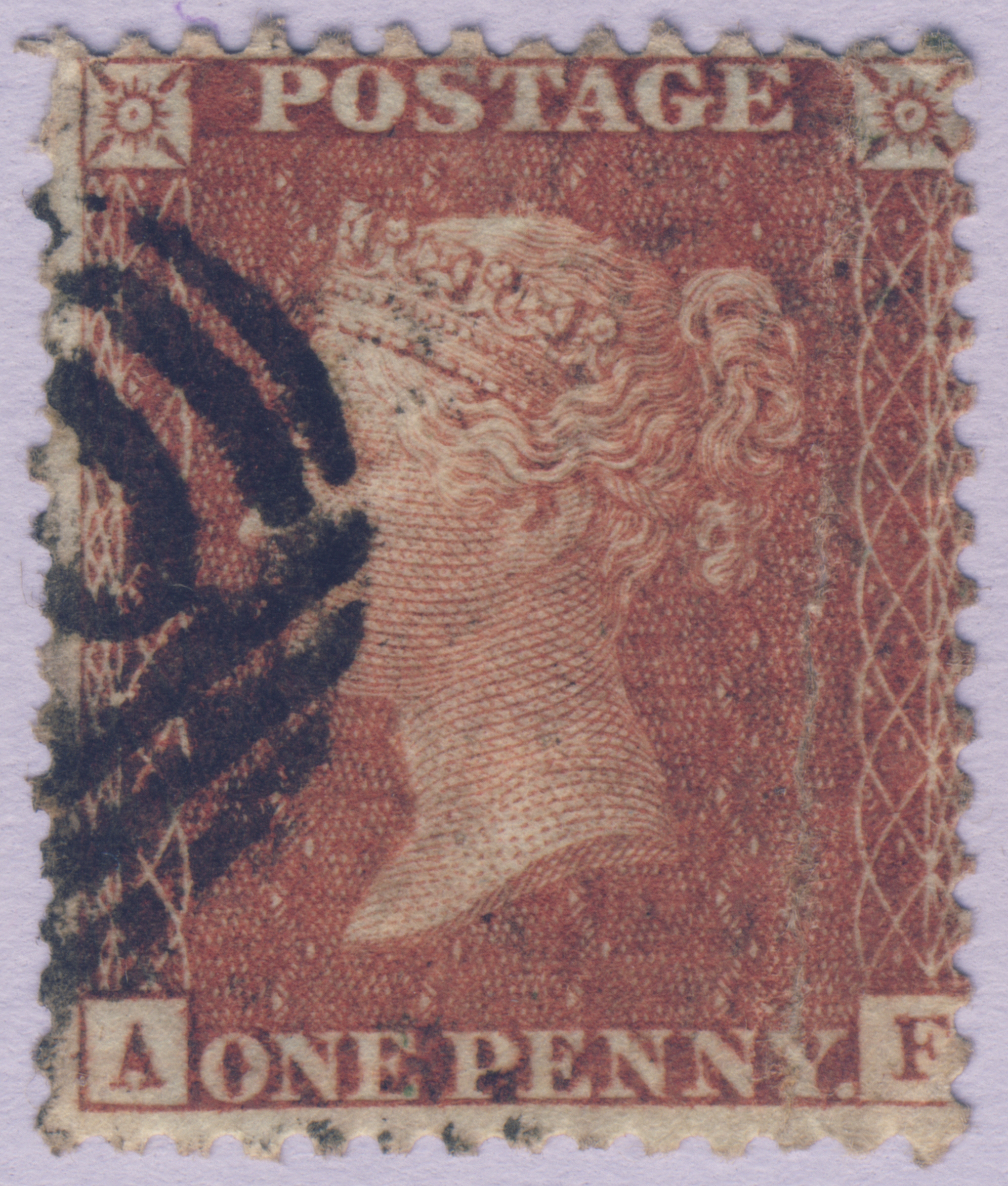 Plate 34 A-F