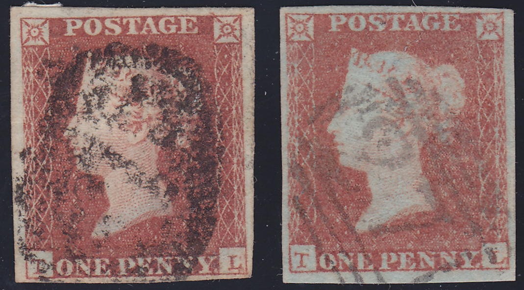 Plate 100 T-L