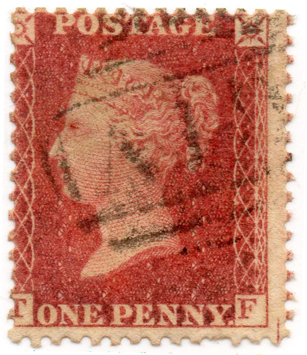 Plate 51 T-F