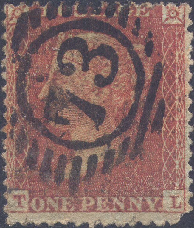 Plate 13 T-L