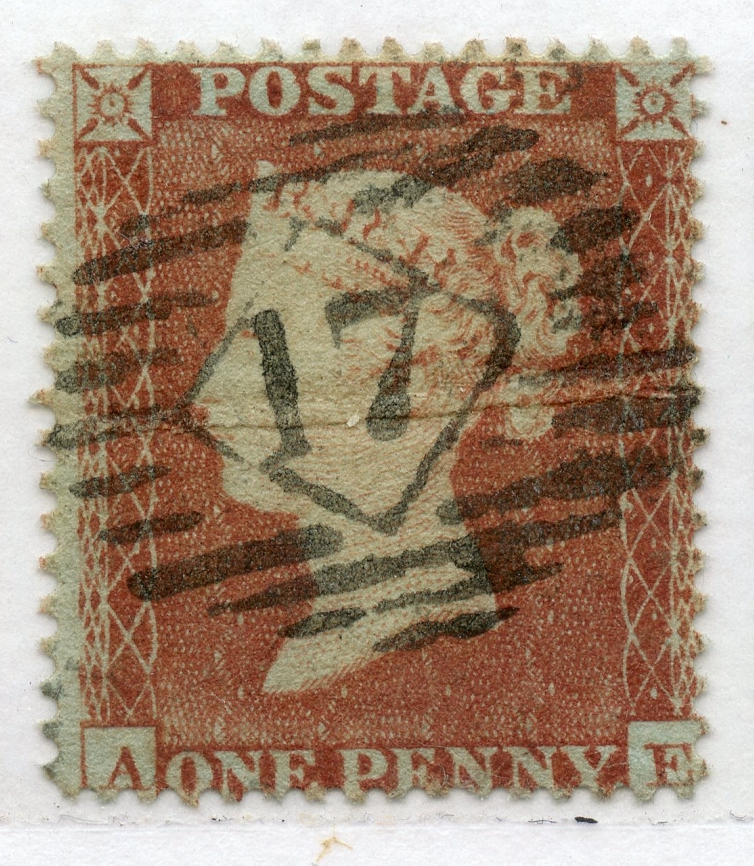 Plate 176 A-E