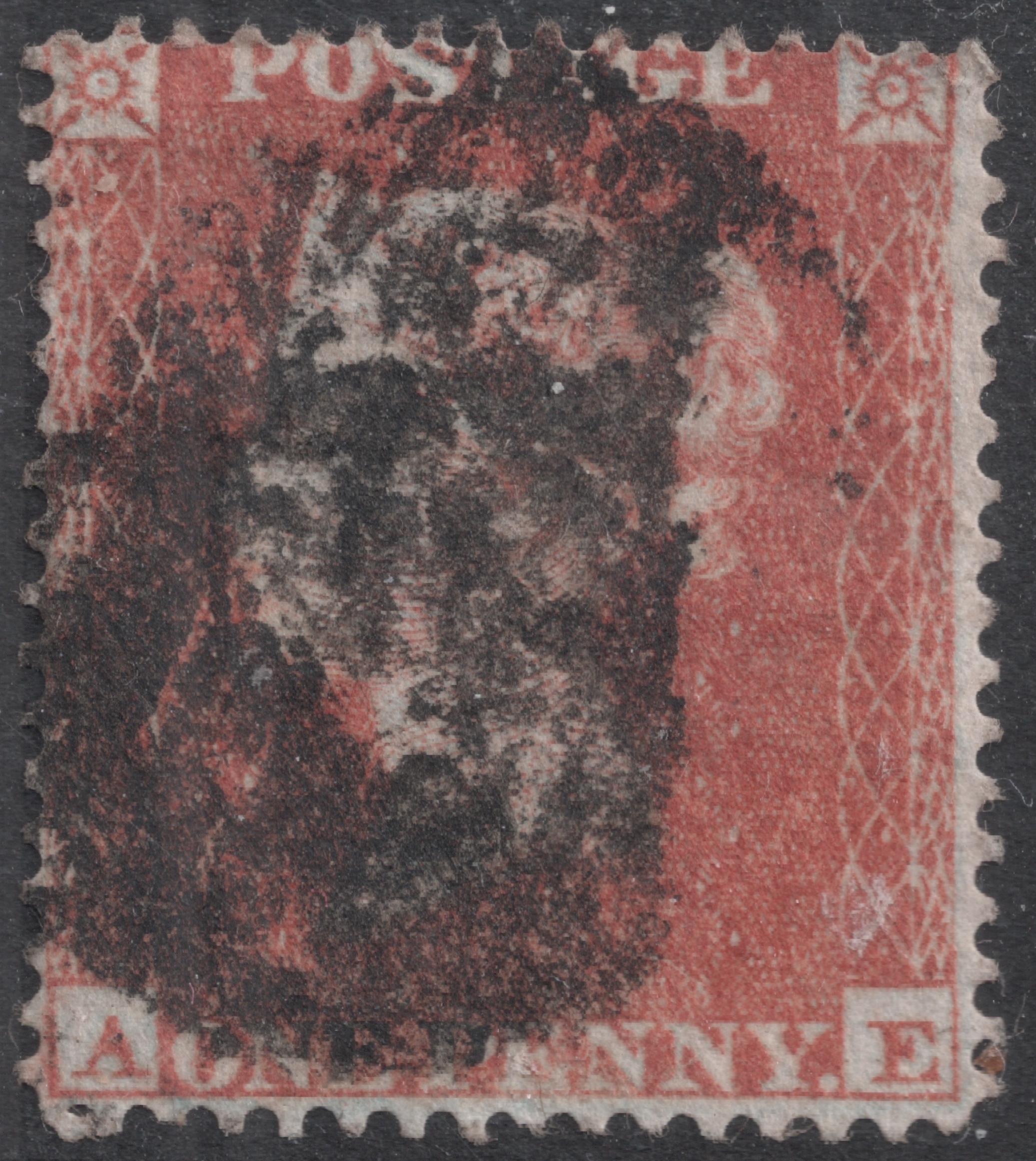 Plate 176 A-E