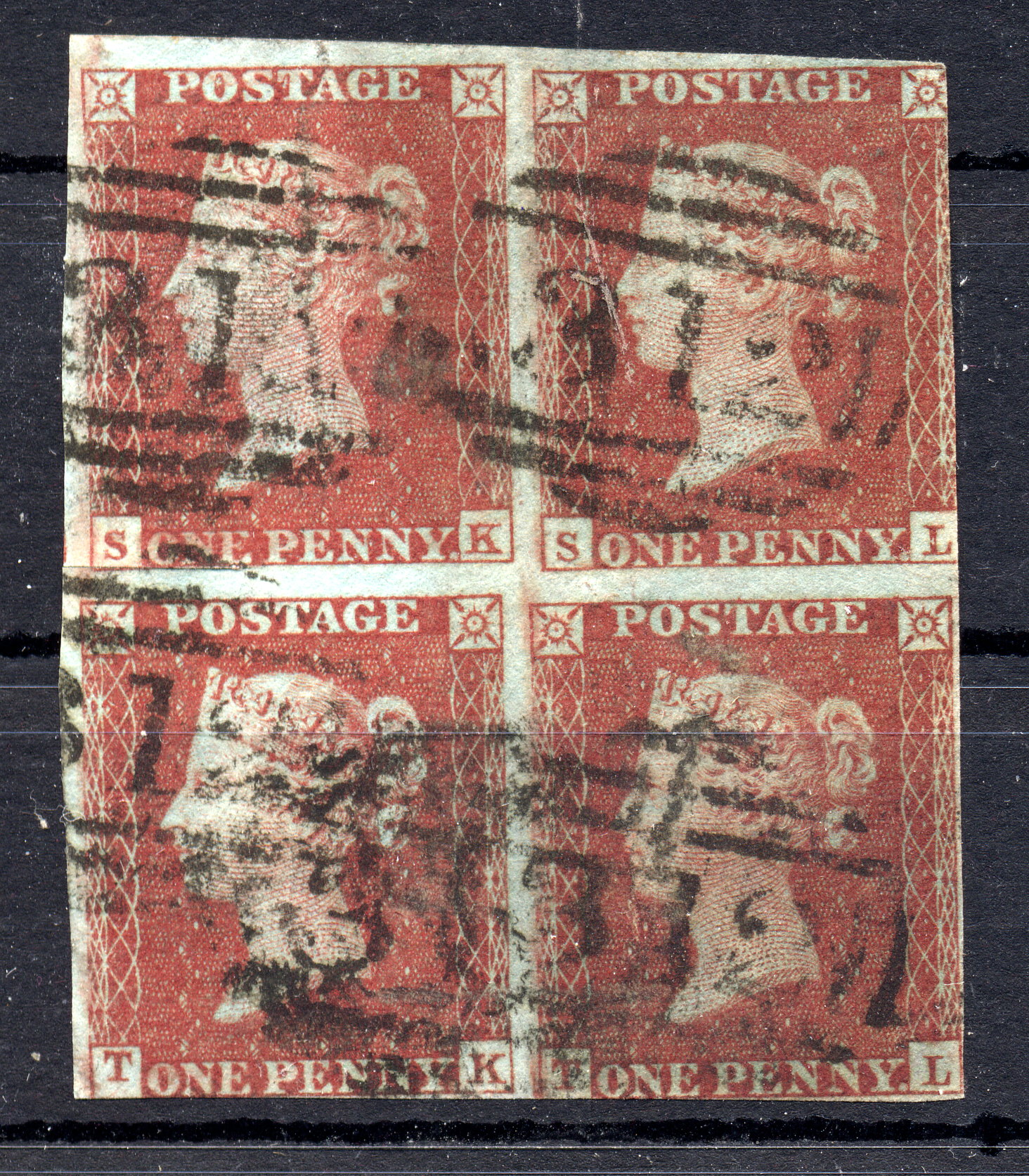 Plate 175 T-L