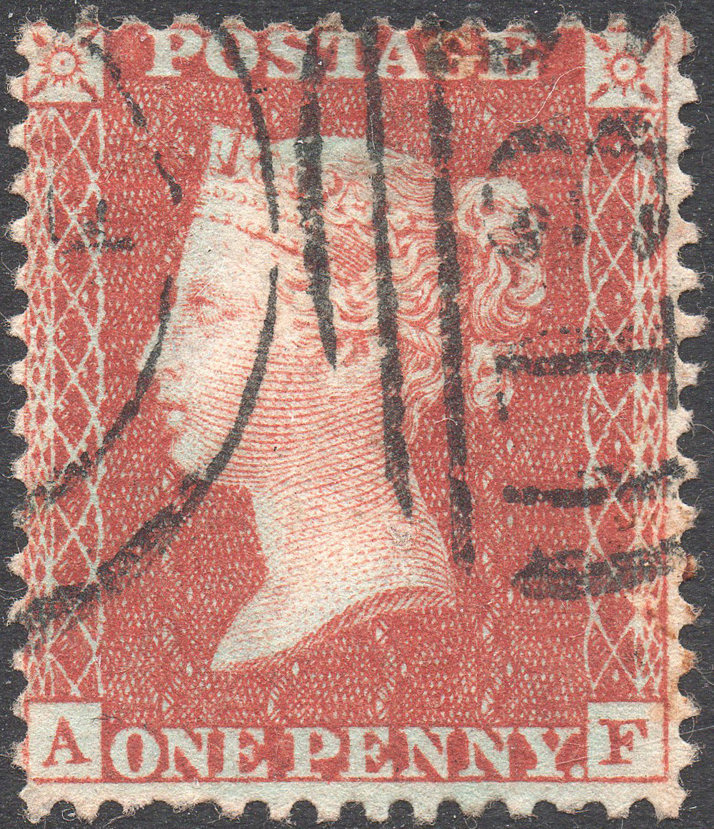 Plate 5 A-F